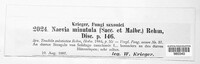Naevia minutula image